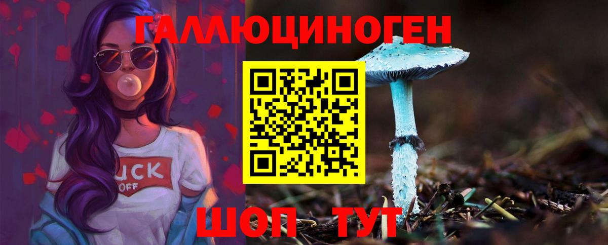Галлюциногенные грибы Cubensis Красноярск