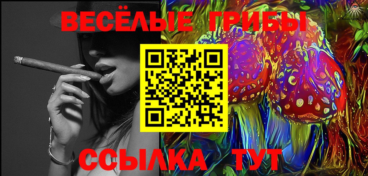 Галлюциногенные грибы Psilocybe  Вход с VPN  Красноярск  Псилоцибиновые грибы ЛСД 